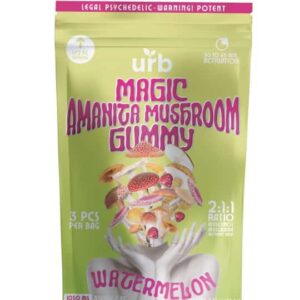 MAGIC AMANITA MUSHROOM GUMMY