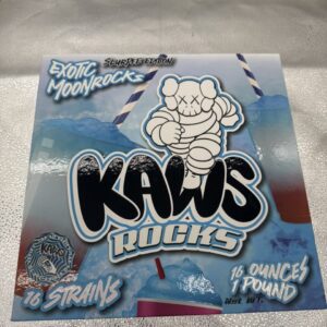 Kaws Rocks Slurpee edition