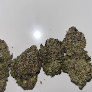 Gushlato strain hybrid weed