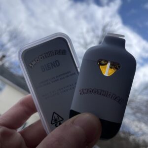 Smoothie Bar Blend 2g Dual Tank switch Disposable